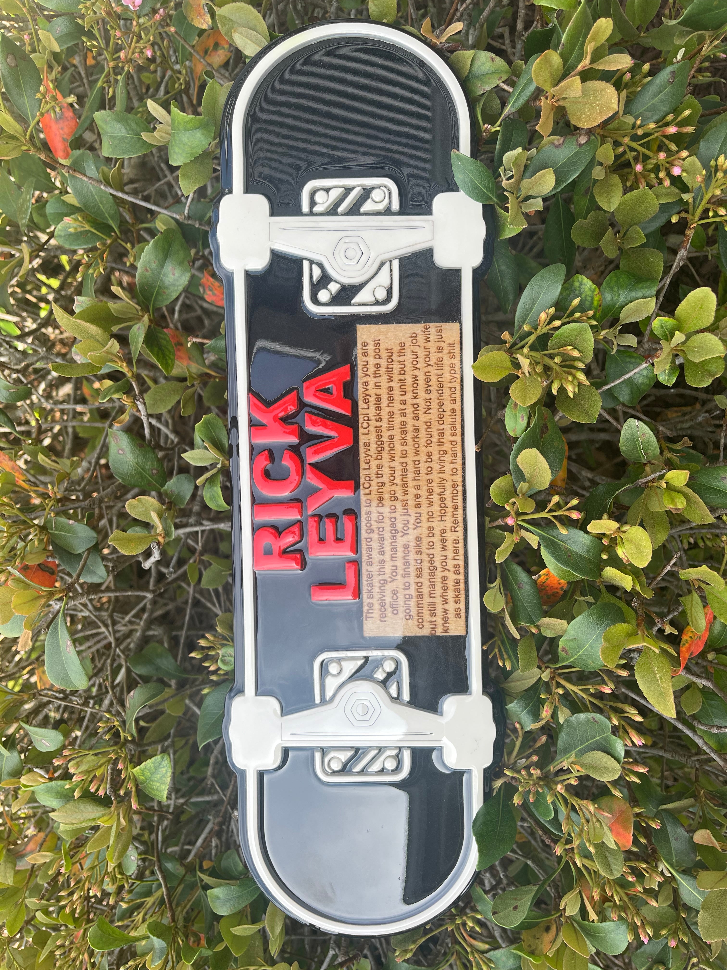 Skateboard plaque